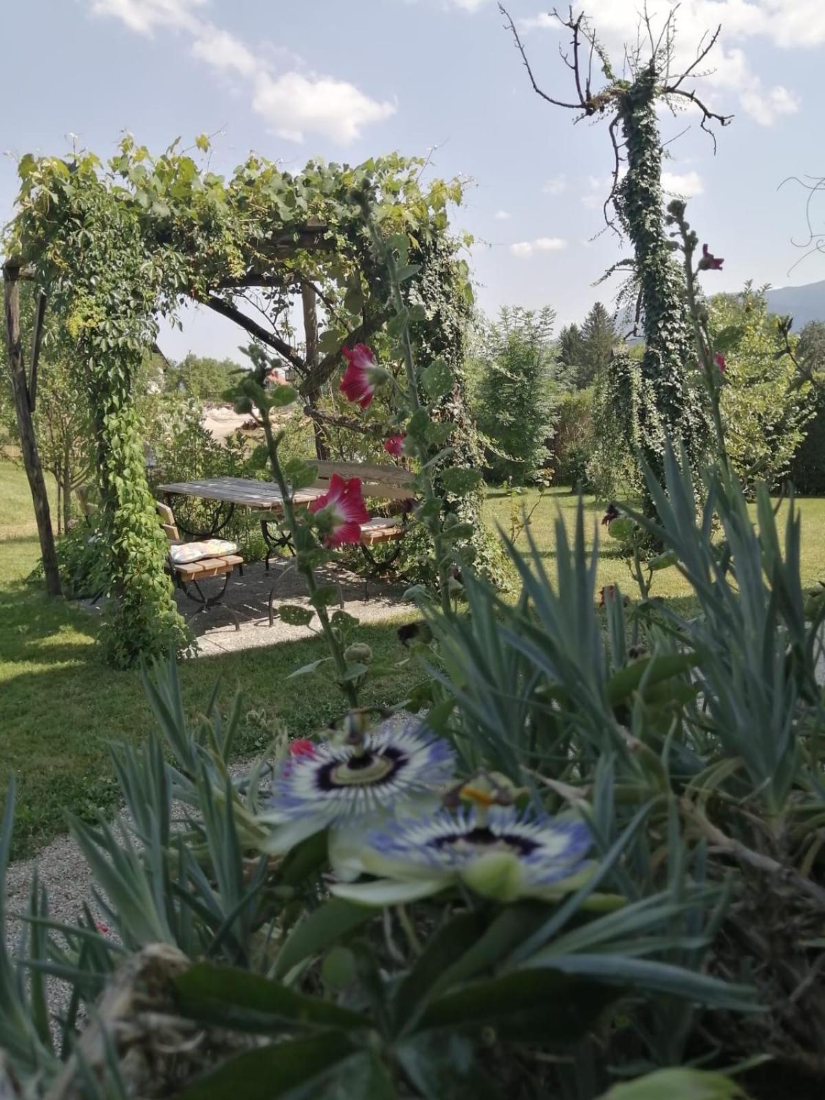 Marta'S House Guest House Bled Exterior photo